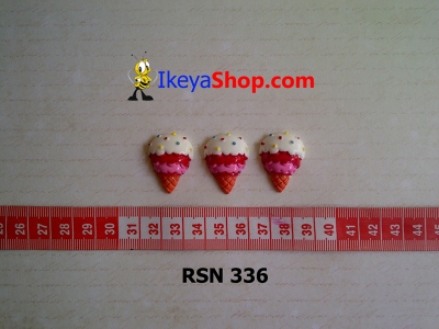 rsn 336  large2